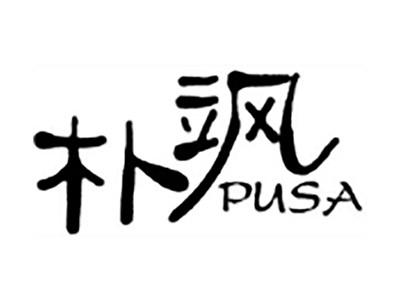 朴飒