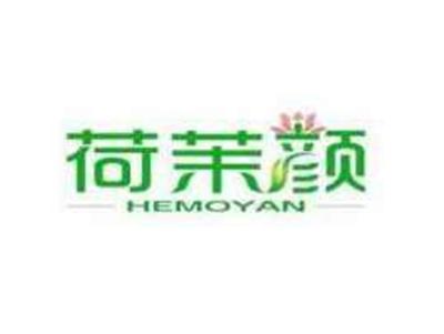 荷茉颜HEMOYAN