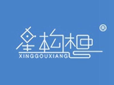 星构想
