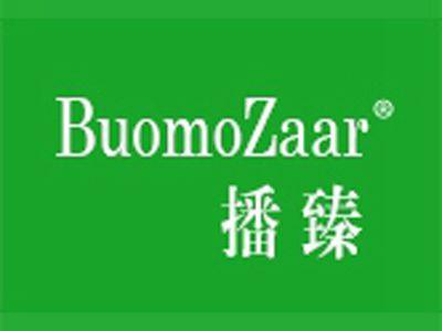 播臻+英文
