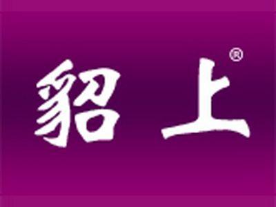 貂上