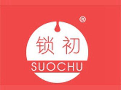 锁初