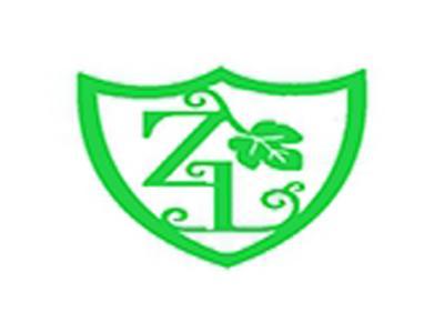 ZL图形