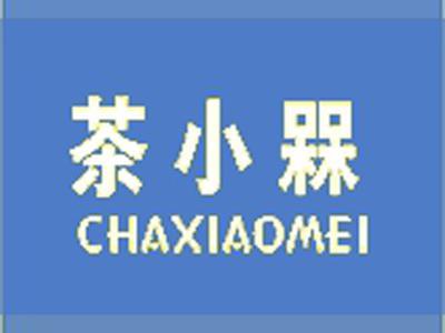 茶小槑