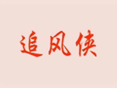 追风侠