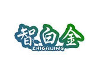 智白金+拼音
