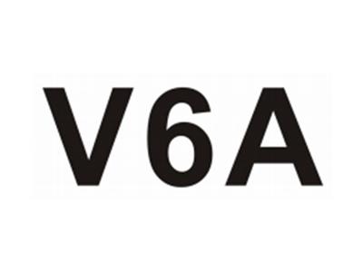 V6A