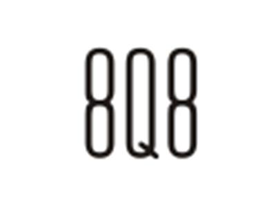 8Q8