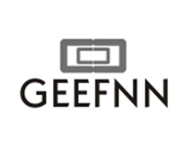 GEEFNN图形