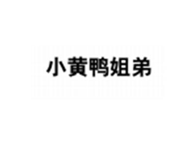小黄鸭姐弟