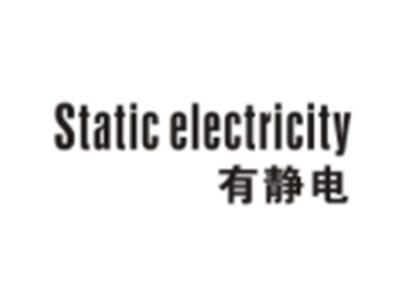 有静电STATICELECTRICITY