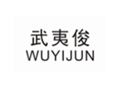 武夷俊WUYIJUN