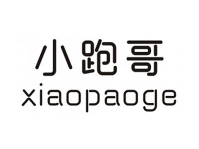 小跑哥XIAOPAOGE
