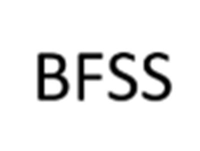 BFSS