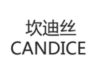 坎迪丝