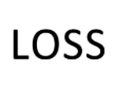 LOSS