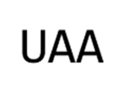 UAA