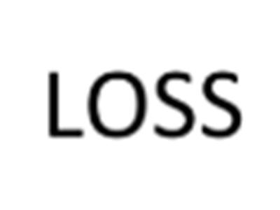 LOSS