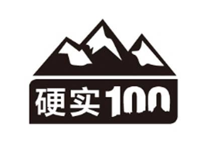 硬实100