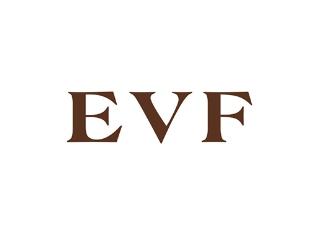 EVF