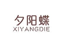 夕阳蝶