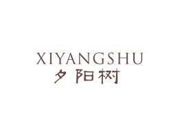 夕阳树