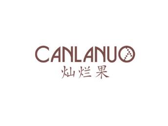 灿烂果