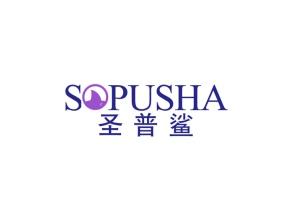 圣普鲨