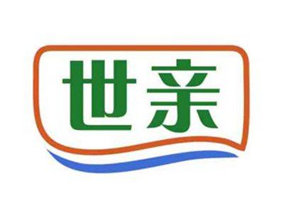 世亲