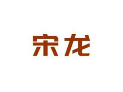 宋龙