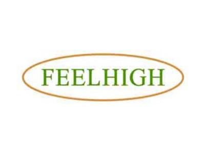 FEELHIGH
