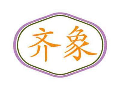 齐象