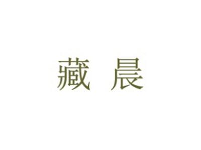 藏晨