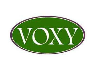VOXY