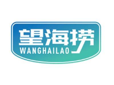 望海捞