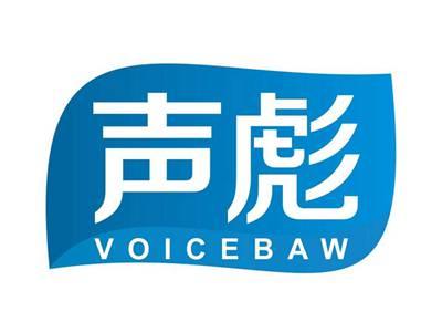 声彪VOICEBAW