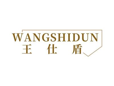 王仕盾WANGSHIDUN