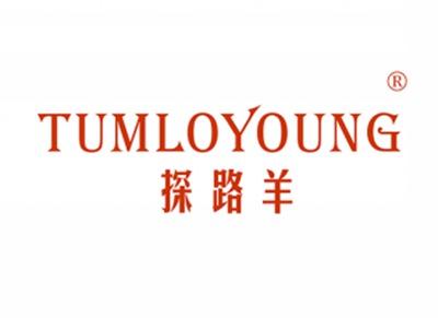 探路羊TUMLOYOUNG