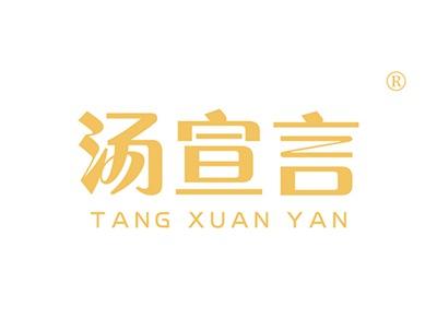 汤宣言TANGXUANYAN