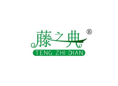 藤之典TENGZHIDIAN