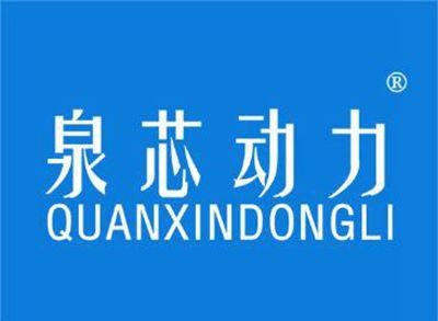 泉芯动力