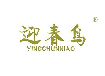 迎春鸟YINGCHUNNIAO