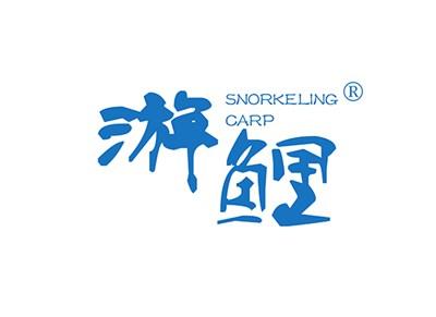 游鲤SNORKELINGCARP