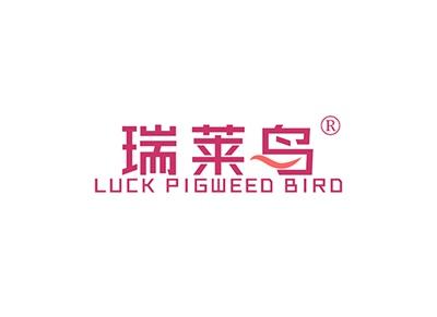 瑞莱鸟LUCKPIGWEEDBIRD