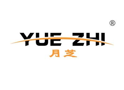 月芝YUEZHI