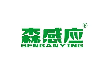 森感应SENGANYING