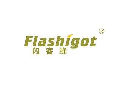 闪客蜂FLASHIGOT