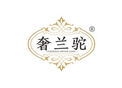 奢兰驼LUXURIOUSORCHIDCAMEL