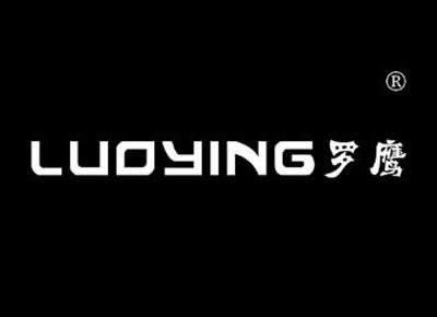 罗鹰