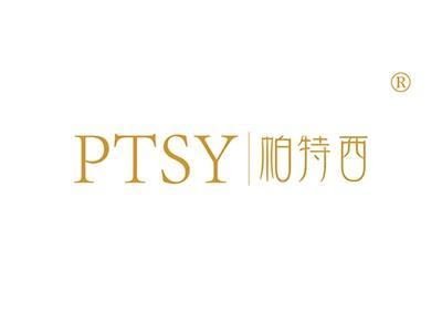 帕特西PTSY